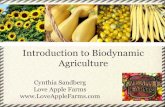 Agriculture Introduction to Biodynamic · Introduction to Biodynamic Agriculture Cynthia Sandberg Love Apple Farms . What is Biodynamic Agriculture? Biodynamic farming is a holistic