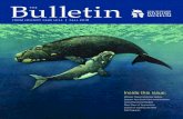 l Bul the tine - New Bedford Whaling Museum - Home...Whales, dolphins, and porpoises are mammals, so we share many characteristics and needs in common. Some of the similarities are