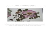 RBGE Collections Care: preparation and care of herbarium … · 2019-05-21 · RBGE Collections Care: preparation and care of herbarium specimens Herbarium specimens are a vital source