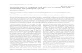 REVIEW ARTICLE genera: definition and notes on taxonomy, life …folia.paru.cas.cz/pdfs/fol/2006/01/01.pdf · 2020-05-12 · 1 REVIEW ARTICLE Myxozoan genera: definition and notes