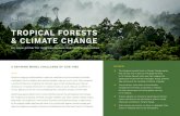 TROPICAL FORESTS & CLIMATE CHANGE...TROPICAL FORESTS & CLIMATE CHANGE Climate change and deforestation make the headlines as environmental and social challenges. But for religious