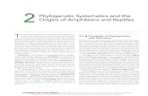 2 Phylogenetic Systematics and the Origins of Amphibians and … · 2015-05-13 · 20 Chapter2 Phylogenetic Systematics and the Origins of Amphibians and Reptiles rive these alkaloids