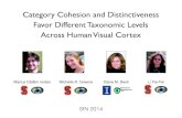 Category Cohesion and Distinctiveness Favor Different Taxonomic Levels …mci/materials/iordan-sfn-talk... · 2016-09-19 · Category Cohesion and Distinctiveness Favor Different