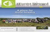 A place for Guild forestry · cological forestry applied to natural forest systems has been the signature of The Forestland Group (TFG) as a forestland investment manager since our