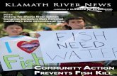 INSIDE Victory for Shasta River Salmon Congress ...Klamath River News 1 Fall 2014 a publication of Klamath River News Community ACtion Prevents Fish Kill Fall 2014 INSIDE Victory for