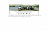 Introduction to SWAMP Toolbox - Center for International ... · SWAMP stands for Sustainable Wetlands Adaptation Mitigation Program. Itis a partnership between CIFOR, USDA Forest