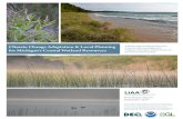 Climate Change Adaptation & Local Planning for …...Climate Change Adaptation & Local Planning for Michigan’s Coastal Wetland Resources A White Paper Prepared for the Coastal Zone