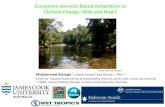 Ecosystem Services Based Adaptation to Climate Change: Why ...conference.ifas.ufl.edu/aces14/presentations/Dec 11 Thursday/5 Ses… · Ecosystem Services Based Adaptation to Climate
