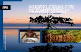United Nations Environment Programme MULTIPLE BENEFITS OF ... · MULTIPLE BENEFITS OF MANGROVES IN CENTRAL AFRICA Assessment for REDD+ United Nations Environment Programme P.O. Box