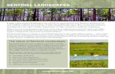 SENTINEL LANDSCAPES - Military Sustainabilitymilitarysustainability.org/media/13443/sentinel... · Sentinel Landscapes Partnership The U.S. Departments of Agriculture, Defense and