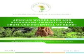 AFRICAN WOODLANDS AND SAVANNAHS: OPPORTUNITIES FROM … · a platform for stakeholders in african forestry AfricAn forest forum working pAper series AFRICAN WOODLANDS AND SAVANNAHS: