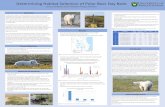 Determining Habitat Selection of Polar Bear Day Beds · Determining Habitat Selection of Polar Bear Day Beds Jessica Goddard, Rozlin Holoboff, Philippa Williams • Proximity of each