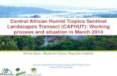 Central African Humid Tropics Sentinel Landscapes Transect ......Central African Humid Tropics Sentinel Landscapes Transect (CAFHUT ): Working process and situation in March 2014 .