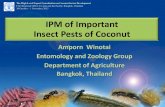 IPM of important insect pests of coconutcoconutpests.org/uploads/CPDT_content/pdf/IPM coconut P:D.pdf · IPM of Important Insect Pests of Coconut Amporn Winotai Entomology and Zoology