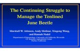 The Continuing Struggle to Manage the Tenlined June Beetlecestanislaus.ucanr.edu/files/141103.pdf · The Continuing Struggle to Manage the Tenlined June Beetle Marshall W. Johnson,