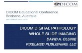 DICOM DIGITAL PATHOLOGY WHOLE SLIDE IMAGING · Why DICOM? Enormous experience in radiology and cardiology 33 years since ACR-NEMA PS3 Standard (1985) A consensus of user and industry