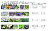 SFDPW's Suggested Plants for Your Sidewalk Landscaping … · 2016-05-26 · Heuchera maxima (Island Alum Root) c. Polystichum munitum (Western Sword Fern) d. Symphoricarpos albus
