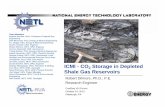 Christopher Jursa , URS , GIS analyst ICMI - CO Storage in ... · ICMI - CO 2 Storage in Depleted Shale Gas Reservoirs Image rom: Dan Soeder (2011) ... Discussion of PPAL capability