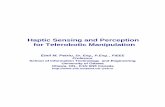 Haptic Sensing and Perception for Telerobotic Manipulationpetriu/HapticSensingPerception-Feb04b.pdf · Haptic Sensing and Perception for Telerobotic Manipulation Emil M. Petriu, Dr.