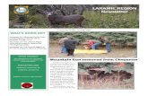 LARAMIE REGION Newsletter Offices/Laramie/11_2017-Laramie...WGFD Laramie Region Newsletter Page 4 NOVEMBER 2017 Tasha Bauman, forensic analyst for the Game and Fish Wildlife Forensic