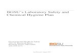 BGSU’s Laboratory Safety and Chemical Hygiene Plan · 2017-08-11 · The Laboratory Safety and Chemical Hygiene Plan has been established by Bowling Green State University to comply