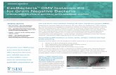 ExoBacteria OMV Isolation Kit for Gram Negative Bacteria€¦ · The only kit for easy isolation of bacterial outer membrane vesicles (OMVs) Expanding our exosome expertise to bacteria,