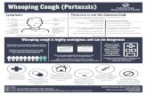 Whooping Cough (Pertussis) Indiana State Department of Health Infographic...آ  Symptoms LOW-GRADE FEVER