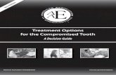 Treatment Options for the Compromised Tooth...retreatment or apical surgery Questionable: Canals debrided and obturated to the procedural complication, there is no apical pathosis