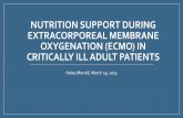 Nutrition Support during Extracorporeal Membrane Oxygenation …haleymurrell.weebly.com/.../haley_murrell_march_journal_club_portfol… · CRITICALLY ILL ADULT PATIENTS Haley Murrell,