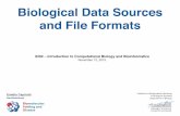 Biological Data Sources and File Formatsbiofold.org/pages/courses/docs/iCB2_BioData.pdf · Biological Data Sources and File Formats iCB2 – Introduction to Computational Biology