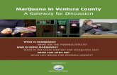 Marijuana in Ventura County - California State Association ... · 1996) demand fair and reasonable access to marijuana when recommended for medicinal purposes. Local government agencies