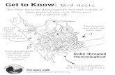 Get to Know: Bird Nests - fairfieldcountyparks.org · Bird Nests The nest is held together with strands of silk from a spider web. Ruby-throated Hummingbird These hummingbirds camouflage