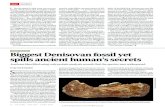 Biggest Denisovan fossil yet spills ancient human’s secrets · amazing” says Mansi Kasliwal, an astrophysi - cist at the California Institute of Technology in Pasadena who works