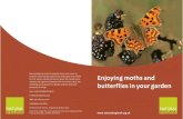 butterflies in your garden Enjoying moths and · Butterflies and moths are delightful. Although only about 25 butterfly species regularly come to gardens, they include many of the