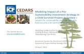 Modeling Impact of a Pro- Sustainability Investment ...cedarscenter.com/resources/Sarriot____Modeling... · Modeling Impact of a Pro-Sustainability Investment Strategy in a Child