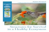 Structures for Survival in a Healthy EcosystemI Structures for Survival in a Healthy Ecosystem I Student Workbook 15 Our Hummingbird Habitat Lesson 5 | page 1 of 3 Names: Instructions: