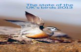 The state of the UK’s birds 2013 · New Bird Atlas reveals declines The newly-published Bird Atlas 2007–11, ... This is the 14th The state of the UK’s birds (SUKB) report. Published