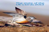 The state of the UK’s birds 2013 - British Trust for Ornithology · New Bird Atlas reveals declines The newly-published Bird Atlas 2007–11, ... This is the 14th The state of the
