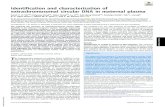 Identification and characterization of extrachromosomal circular … · For the five pregnancy cases examined by the MspI approach (exo V + MspI), the median EPM value was 1,462 (range,