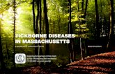 Tickborne Diseases in MassachuseTTs · Algorithm for DifferentiAting tickborne DiseAses in mAssAchusetts This algorithm is intended for use as a general guide when pursuing a diagnosis.