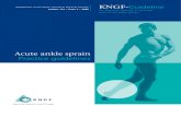 Supplement to the Dutch Journal of Physical Therapy KNGF-Guideline · 2018-09-14 · KNGF Guideline for Physical Therapy in patients with acute ankle sprain Practice Guidelines syndrome;