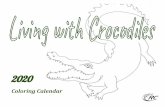 Coloring Calendar - aloadofcroc.files.wordpress.com · July 2020 A crocodile mom is very protective of her hatchlings. She will lay about 30 eggs in a hole or mound She will lay about