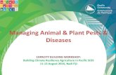 Managing Animal & Plant Pests & Diseases · • Introduce integrated approach;- Integrated Pest Management (IPM), Integrated Crop Management (ICM) and Integrated Vector Management