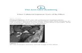 Ulnar Collateral Ligament Tears of the Elbow · Following an acute injury in the throwing athlete, a variety of injury patterns to the UCL may be encountered. Avulsion fractures in