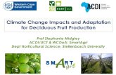 Climate Change Impacts and Adaptation for Deciduous Fruit ......Climate change and the deciduous fruit industry • Impacts differ between production regions, fruit types, cultivars