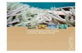 MANAGING FOR MASS CORAL BLEACHING CHAPTER 1 · MANAGING FOR MASS CORAL BLEACHING MANAGING FOR MASS CORAL BLEACHING 5 1998 2006 Figure 1.2 Global trends in the extent and severity