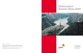 Reinsurance Banana Skins 2019 - PwC · Reinsurance Banana Skins 2019 surveys the risks facing the reinsurance industry in early 2019, and identifies those that appear most urgent