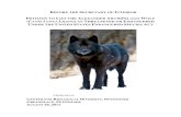 PETITION TO LIST THE ALEXANDER ARCHIPELAGO WOLF CANIS ... · In this Petition, we follow the accepted taxonomic classification of Canis lupus ligoni as a distinct subspecies encompassing