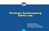 Strategic Roadmapping ESFRI role - European Commission€¦ · Strategic Roadmapping ESFRI role Margarida Ribeiro European Commission DG Research & Innovation B.4 - Research Infrastructure