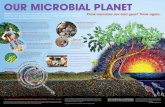 Our Microbial Planet Poster - n asdels.nas.edu/.../special-products/our_microbial_planet_poster.pdf · Our MicrObial Planet MicrObes—life forms too tiny to see—play a surprisingly